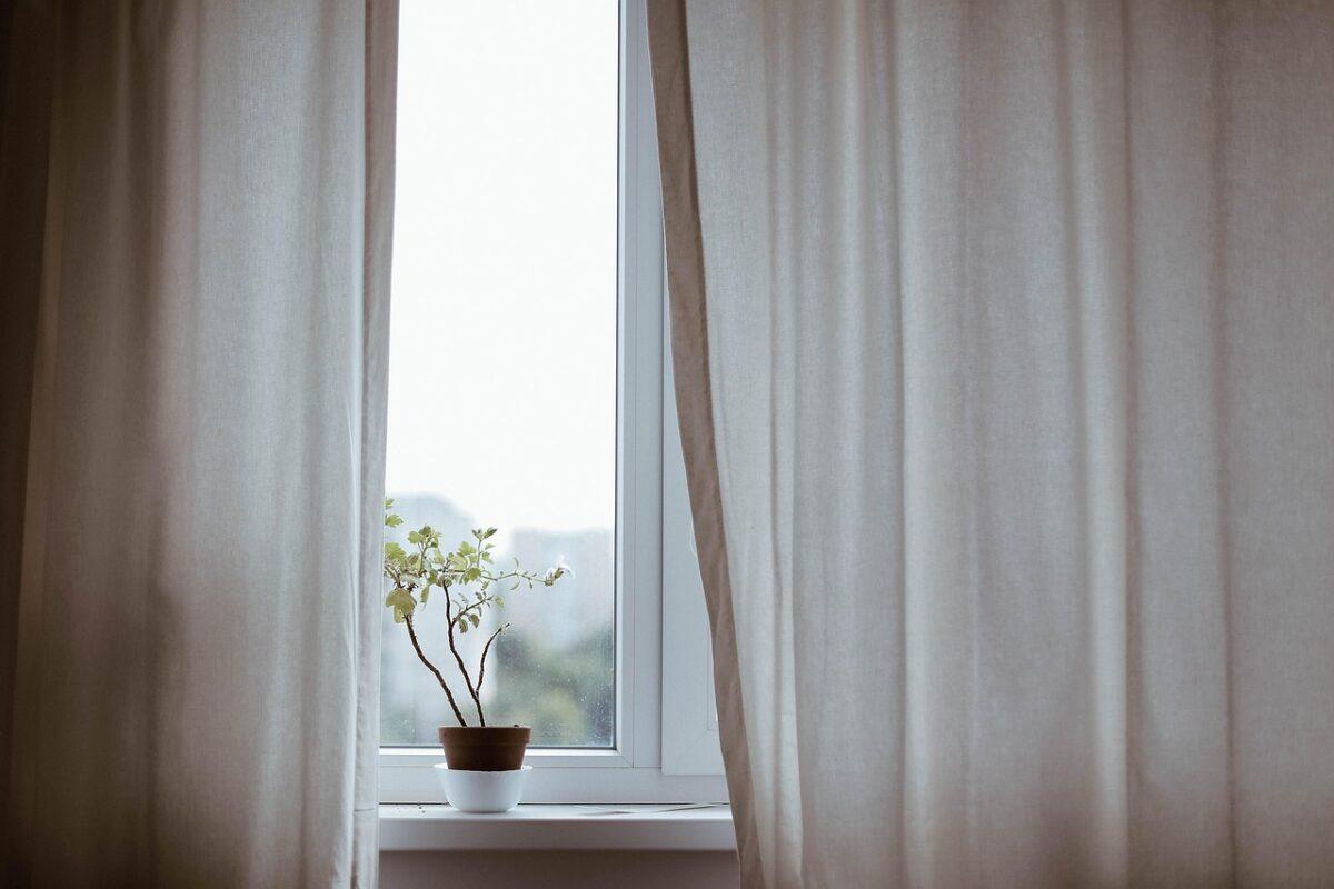 curtains, decoration, indoors, plant, potted plant, window, minimalist, minimalistic, nature, interior decoration, indoor plant